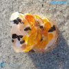 Caramello - RINGS0093